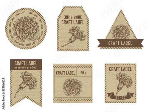 Craft labels vintage design with illustration of carnation