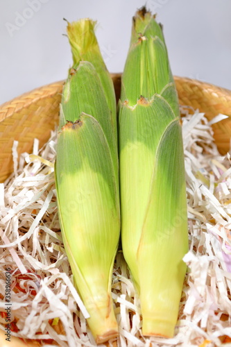 White Hokkaido Corn in basket Not peeled