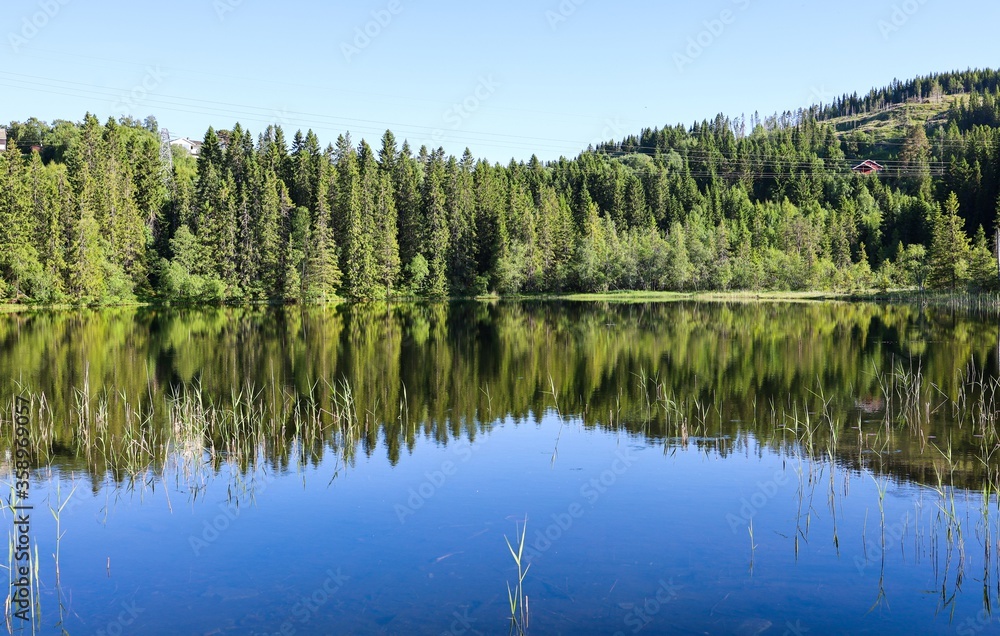 Pine forest and sky reflected in the lake. Mountain and spruce forest and reflection on a background of blue sky, in Norway.