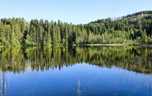 Pine forest and sky reflected in the lake. Mountain and spruce forest and reflection on a background of blue sky, in Norway. © K-I foto