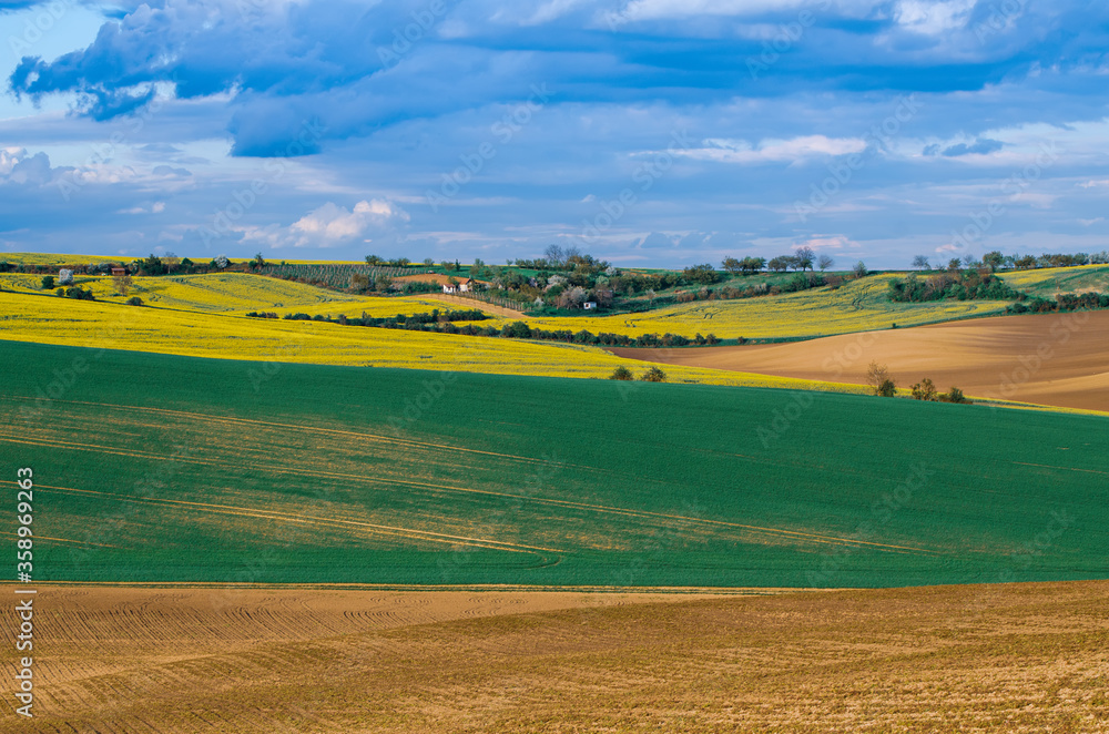 Fototapeta premium Rural spring landscape