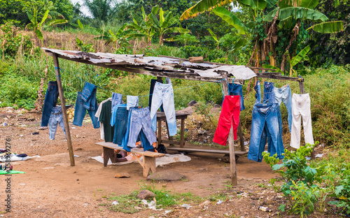 Wallpaper Mural It's Jeans hang on the rope in the jungle Torontodigital.ca