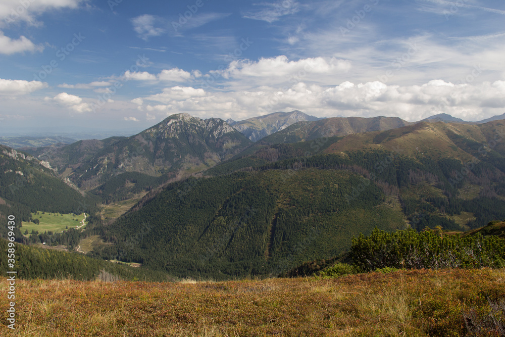 Naklejka premium Panorama of Tatra Mountains