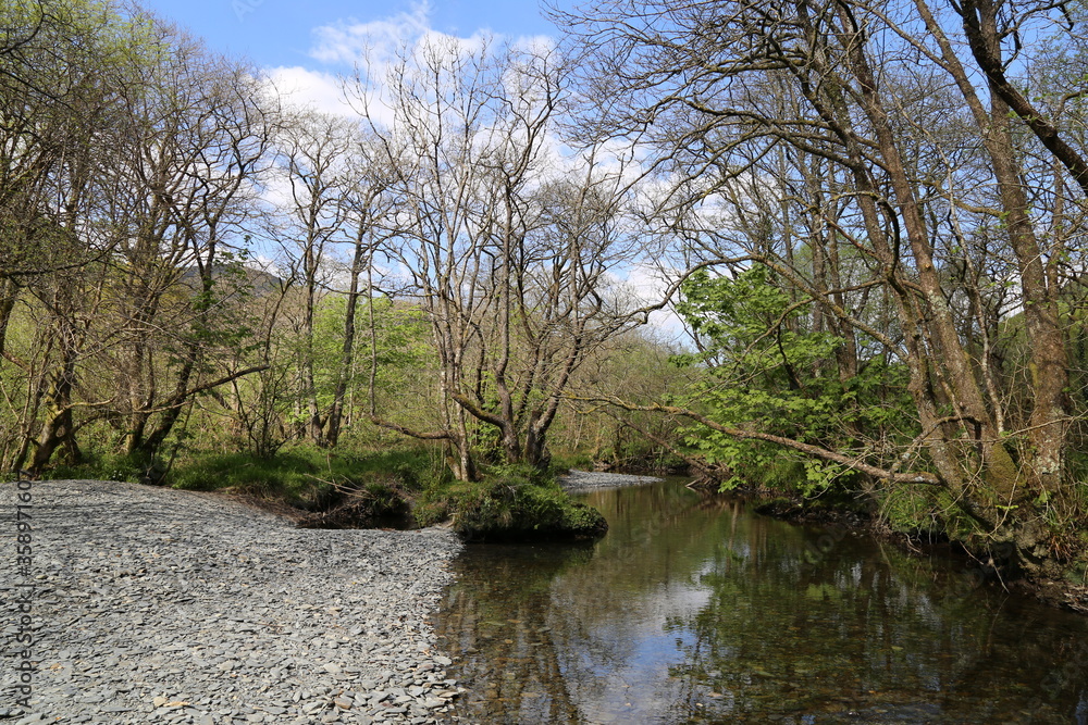 The Dulas River in early Spring at Corris, Wales, UK.