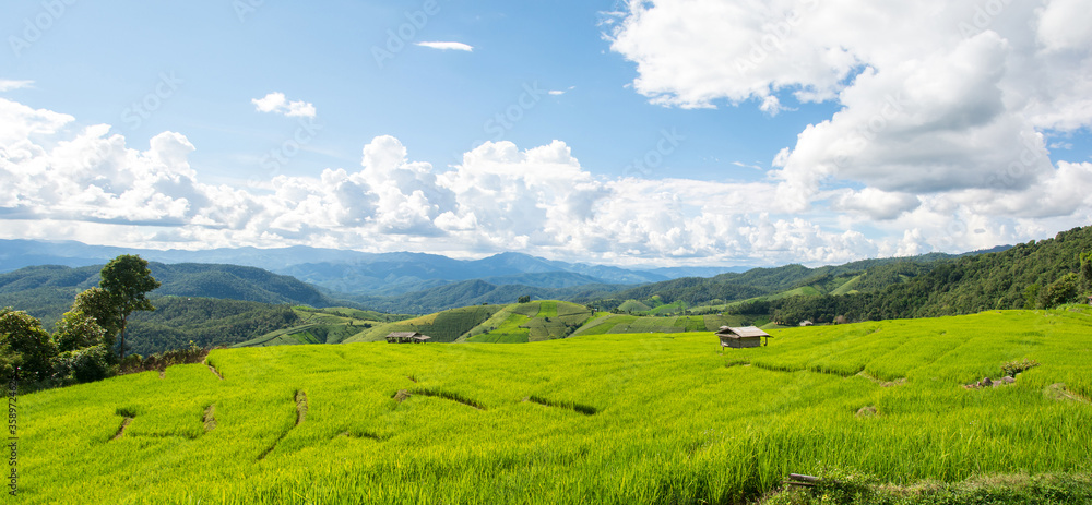 Green rice field with thai traditional wooden hut at Pa Pong Piang Rice Terraces Chiang Mai, Thailand