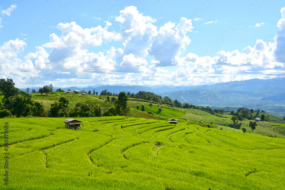 Green rice field with thai traditional wooden hut at Pa Pong Piang Rice Terraces Chiang Mai, Thailand