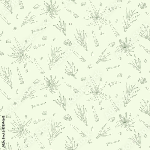 Aloe vera hand drawn seamless pattern. Vector illustration. Healing and cosmetics herb.