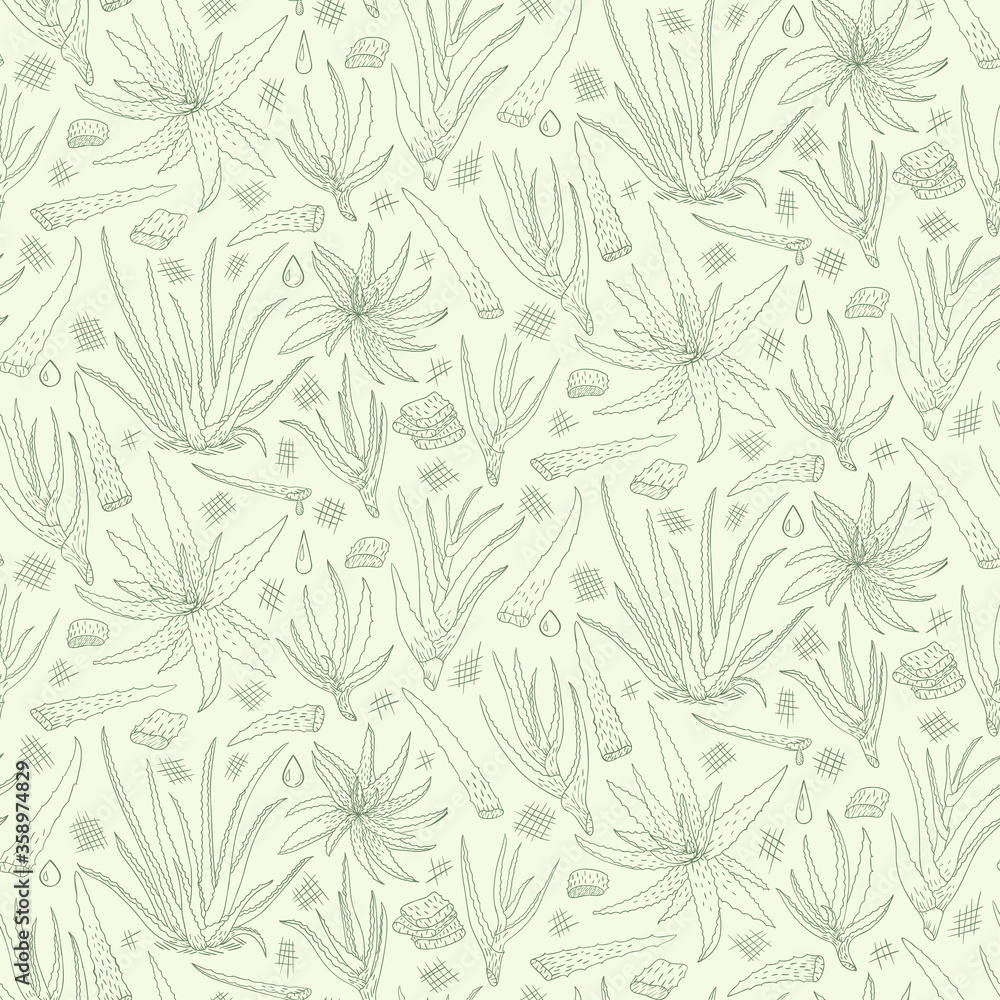 Fototapeta premium Aloe vera hand drawn seamless pattern. Vector illustration. Healing and cosmetics herb.