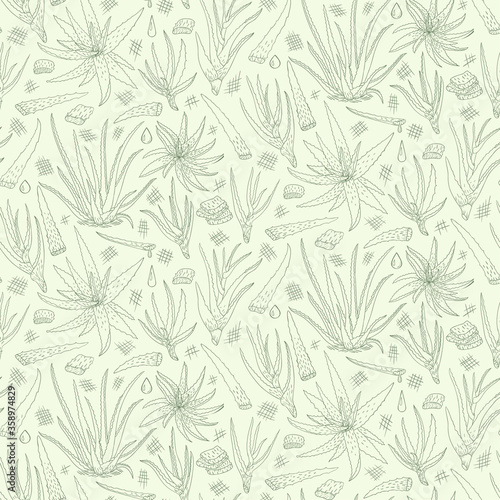 Aloe vera hand drawn seamless pattern. Vector illustration. Healing and cosmetics herb. © Lullula