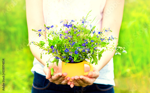 girls hands hold summer blue flowers in a cup