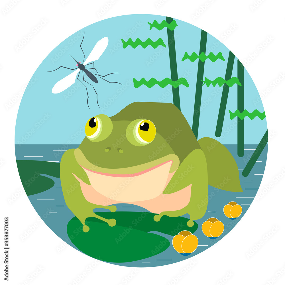 Fototapeta premium A hungry frog is going to eat the mosquito. Flat vector illustration