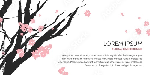 Branches of the cherry tree with pink flowers drawn by hand by ink on a white background in the technique of Chinese graphics. Horizontal banner for salon of beauty, cosmetology. Vector illustration.