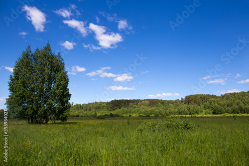 Russian nature landscape with green field, tree and blue sky