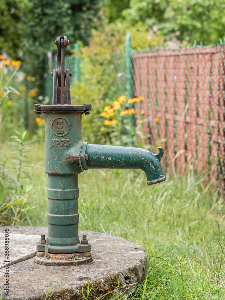 Allotments in Poland