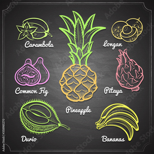 exotic fruits set color chalk painted on black chalkboard vector illustration