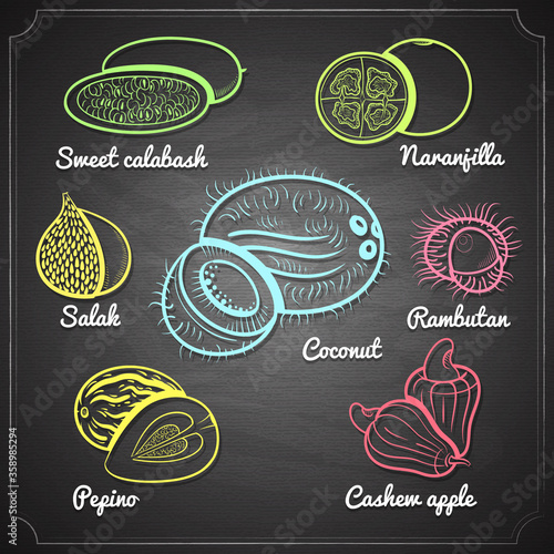 exotic fruits set color chalk painted on black chalkboard vector illustration