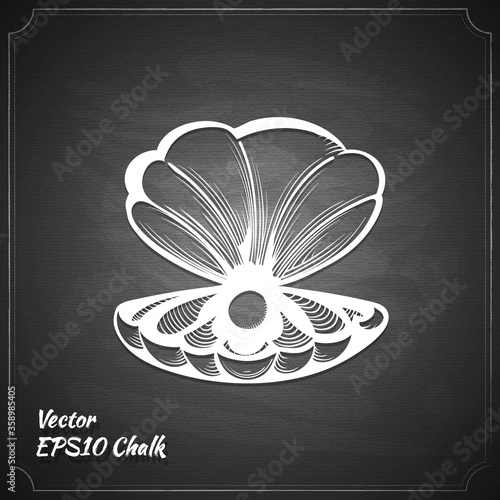 clam with pearl chalk painted on the chalkboard vector illustration