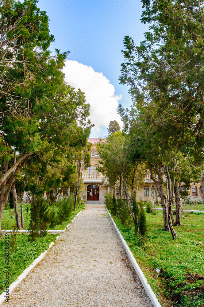 Road among the trees to the door of the building