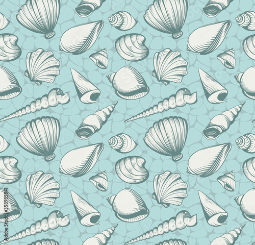 seashells seamless pattern vintage vector summer background illustration