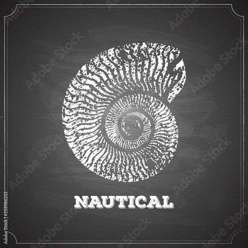 nautical nautilus logo chalk painted on chalkboard vector illustration icon