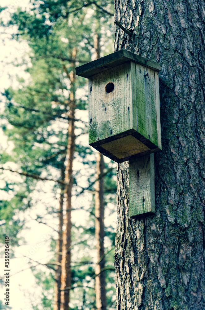 Vintage wooden birdhouse on a tree in a forest