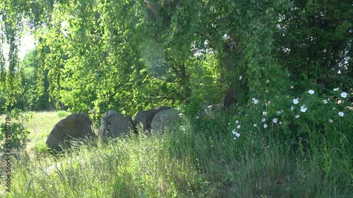 The prehistoric stones and megalith monuments at Lancken Granitz on the baltic sea island Ruegen  photo