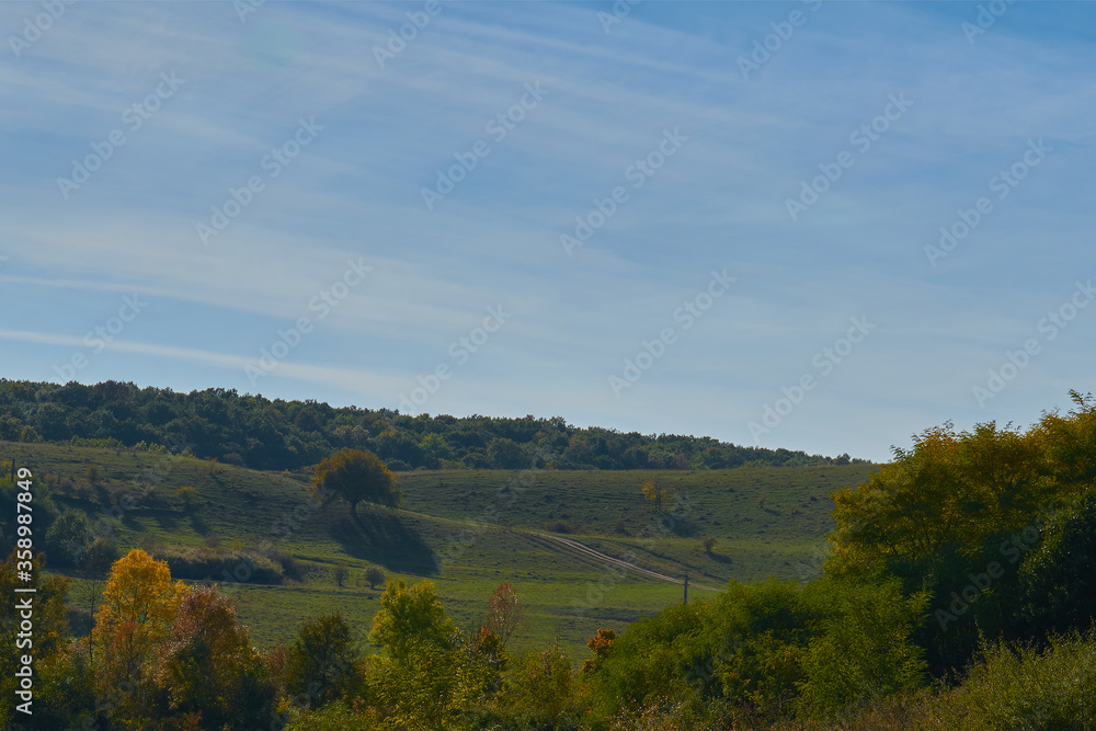 Obraz premium Autumn landscape with blue sky and forest