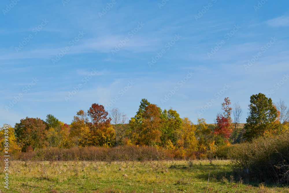 Autumn landscape with colorful trees