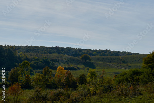 Autumn landscape with blue sky and forest