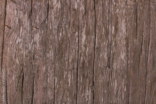 grunge old wood texture background