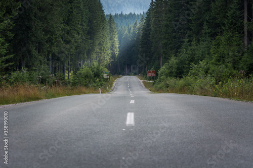 Straight empty long asphalt countryside road between spruce forest trees. Amazing forest landscape, Pokljuka plateau, Slovenia in summer season. Low angle, long shot