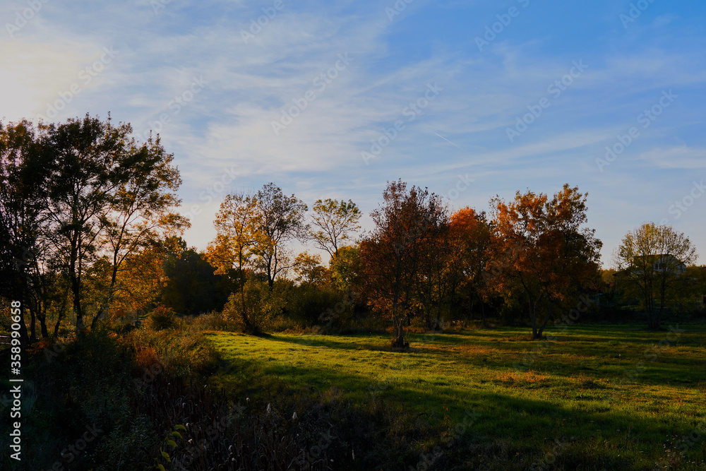 Autumn landscape with colorful trees