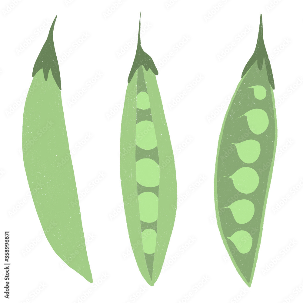 Pea pod set on a white background. Pea pod set on a white background.