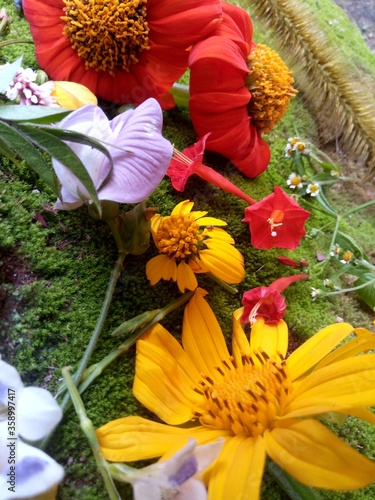 Wallpaper Mural bouquet of flowers Torontodigital.ca
