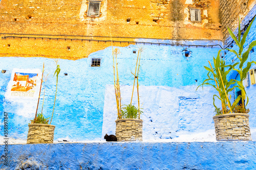 It's Blue walls of the houses of Chefchaouen, Morocco.