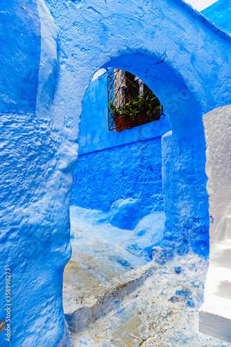 It s Blue walls of the houses of Chefchaouen  Morocco.
