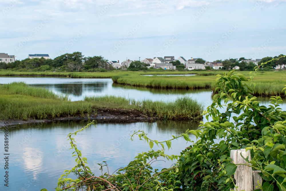 Fototapeta premium Water serenely flowing past the salt marshes on Cape Cod in Massachusetts during summertime.