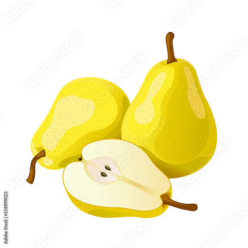 Yellow pear isolate on a white background. Fruits of a tree pear, food still life yellow pears. Autumn harvest. Vector image