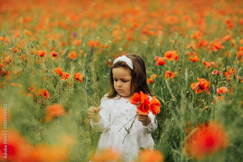 Naklejka premium Cute child girl in poppy field with bouquet of red poppy in hand. Beautiful nature. Cute girl wearing white dress in summer, blooming field, walking. 