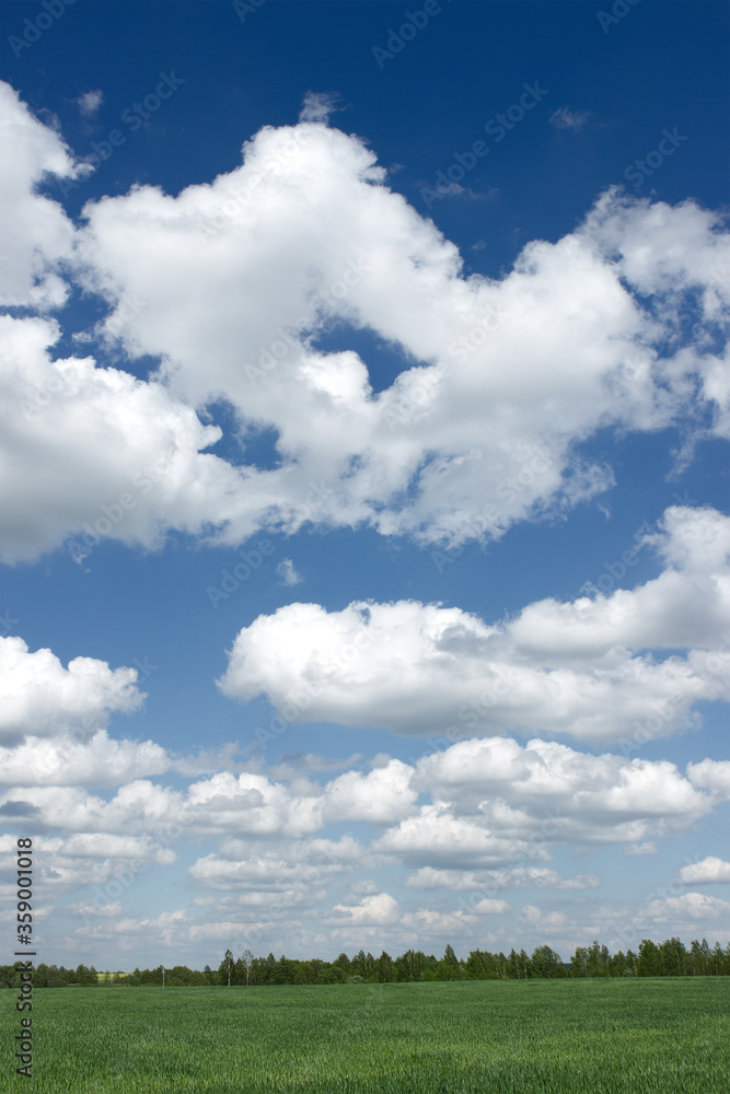 Huge green clouds on a blue sky over a green agricultural field. Huge green clouds on a blue sky over a green agricultural field.