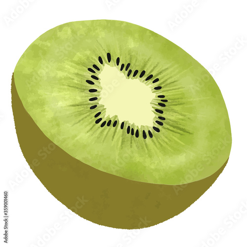Illustration of kiwi fruit cut in half