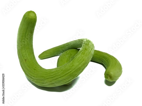 Photography Indian cucumber Vegetable stock photo