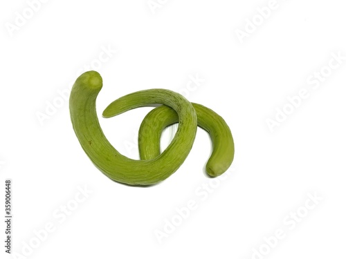 Photography Indian cucumber Vegetable stock photo