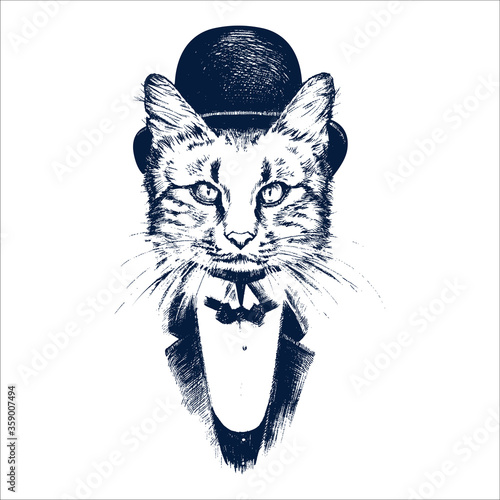 Hand drawn cat. Vector vintage retro illustration.