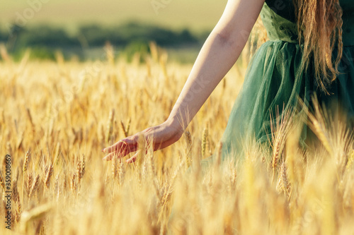 Beautiful woman in green dress walking in field and touches ears of wheat with hand at sunset light, girl enjoying summer nature landscape