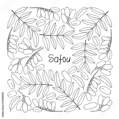 Safou lettering. Hand drawn poster. Coloring page. Stock vector illustration.