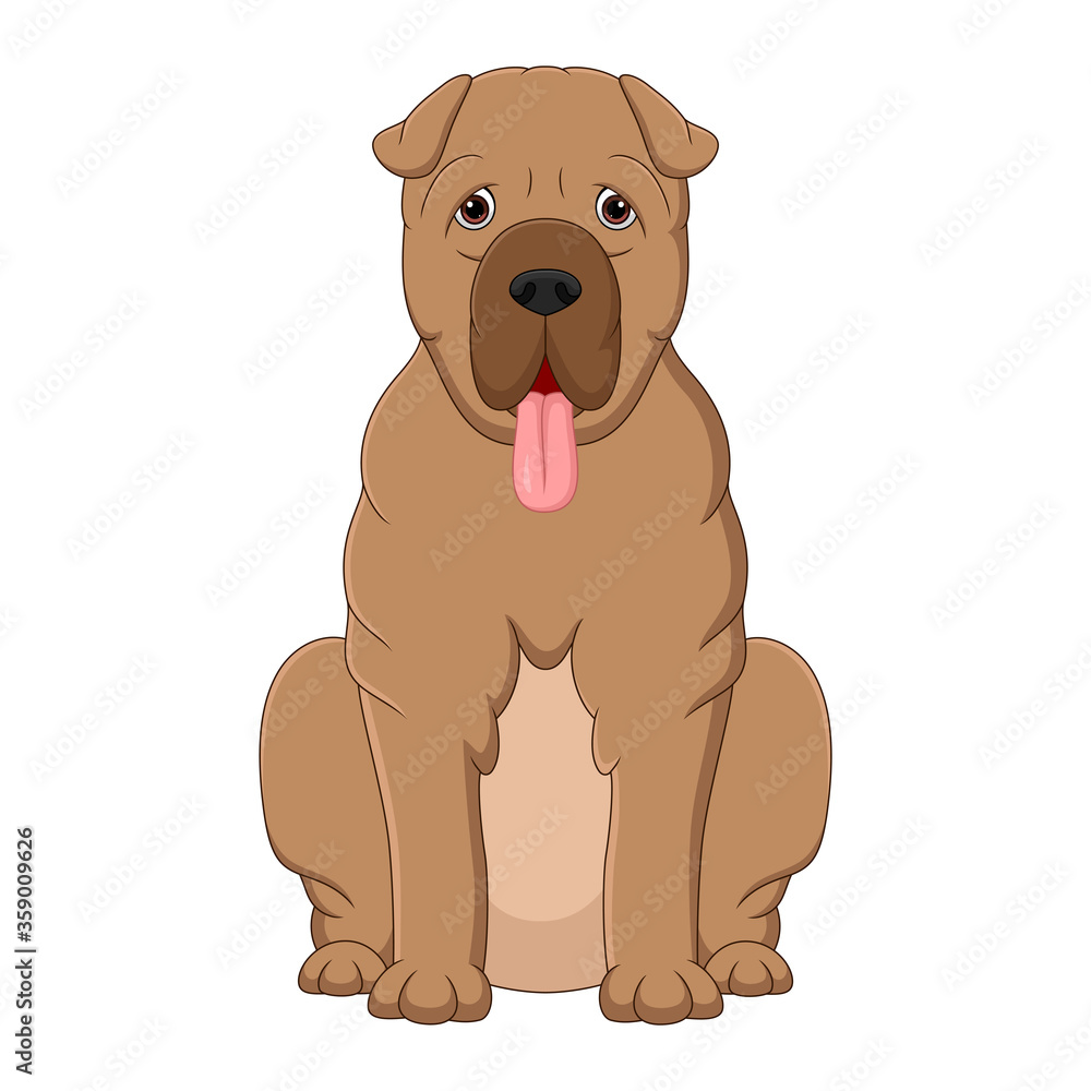 Illustration of sitting shar pei dog cartoon on white background Illustration of sitting shar pei dog cartoon on white background