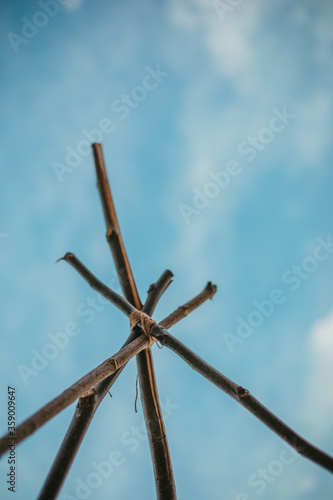Branches teepee against the sky close up © Denis