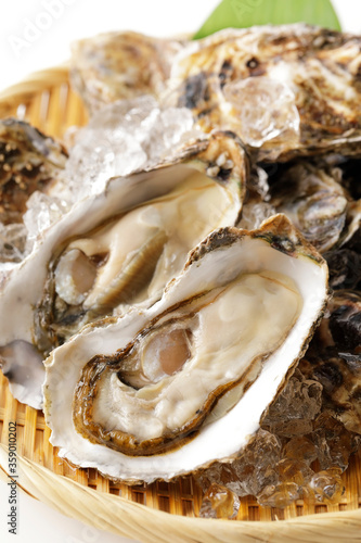 生牡蠣の盛り合わせ(北海道厚岸産) Oyster platter