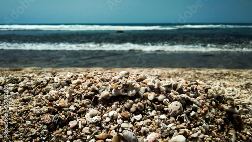 Pebbles and Mini Seashells on Tropical Beach